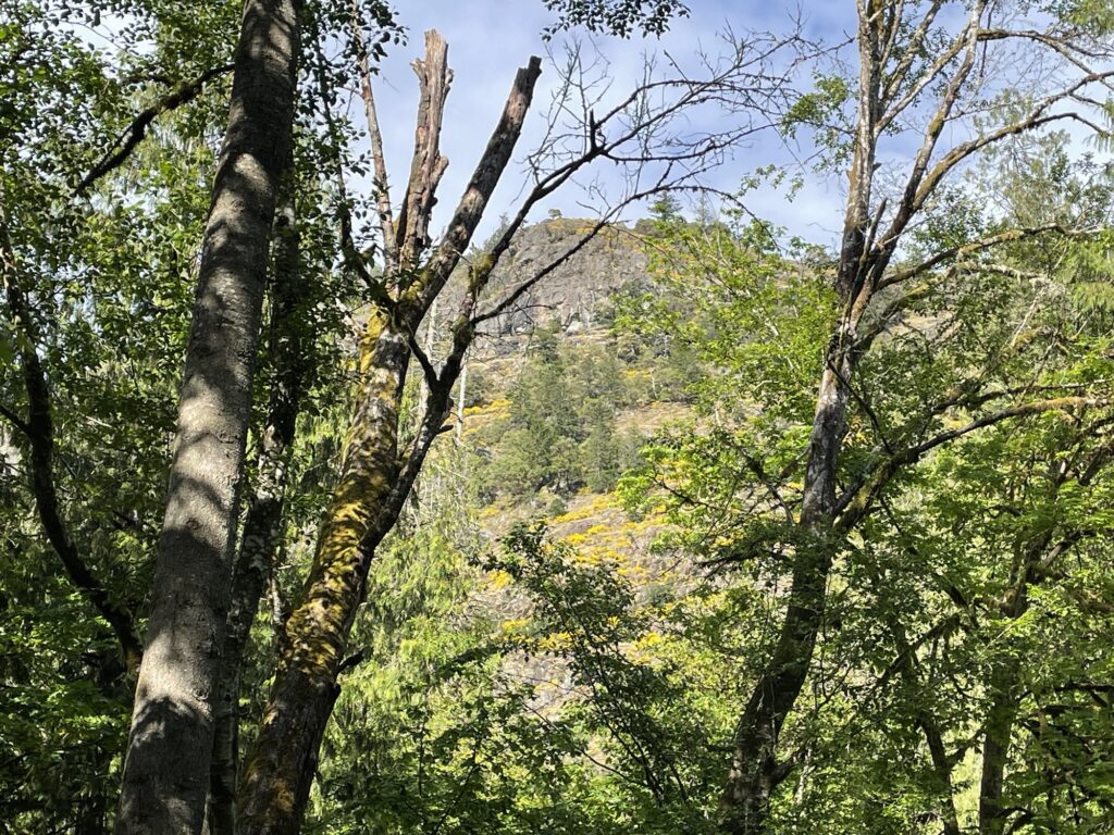 Goldstream Park（ゴールドストリームパーク）でBBQ！ダウンタウンから車で30分の大自然【カナダビクトリア】