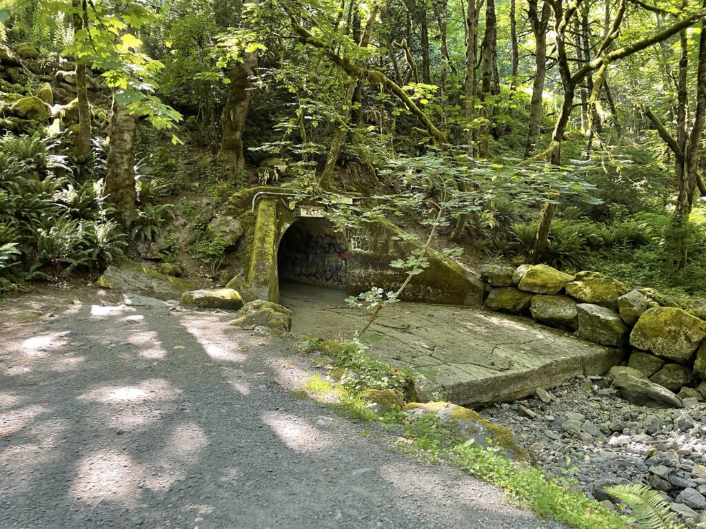 Goldstream Park（ゴールドストリームパーク）でBBQ！ダウンタウンから車で30分の大自然【カナダビクトリア】