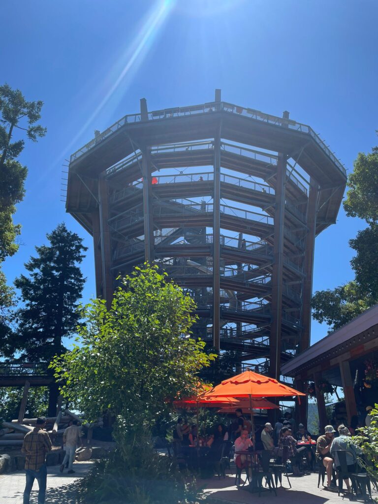 Malahat Skywalk（マラハットスカイウォーク）に行ってきた！夏にぴったりの絶景アクティビティ【ビクトリア】