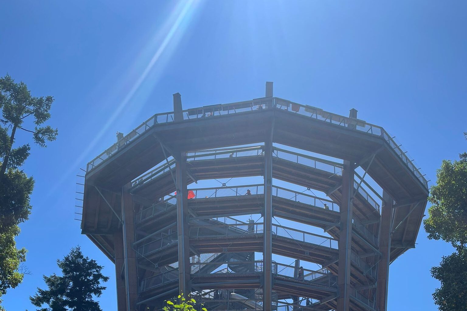 『Malahat Skywalk（マラハットスカイウォーク）に行ってきた！夏にぴったりの絶景アクティビティ【ビクトリア】』