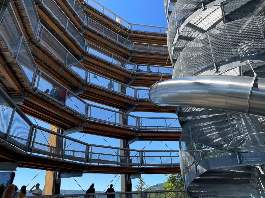 Malahat Skywalk（マラハットスカイウォーク）に行ってきた！夏にぴったりの絶景アクティビティ【ビクトリア】