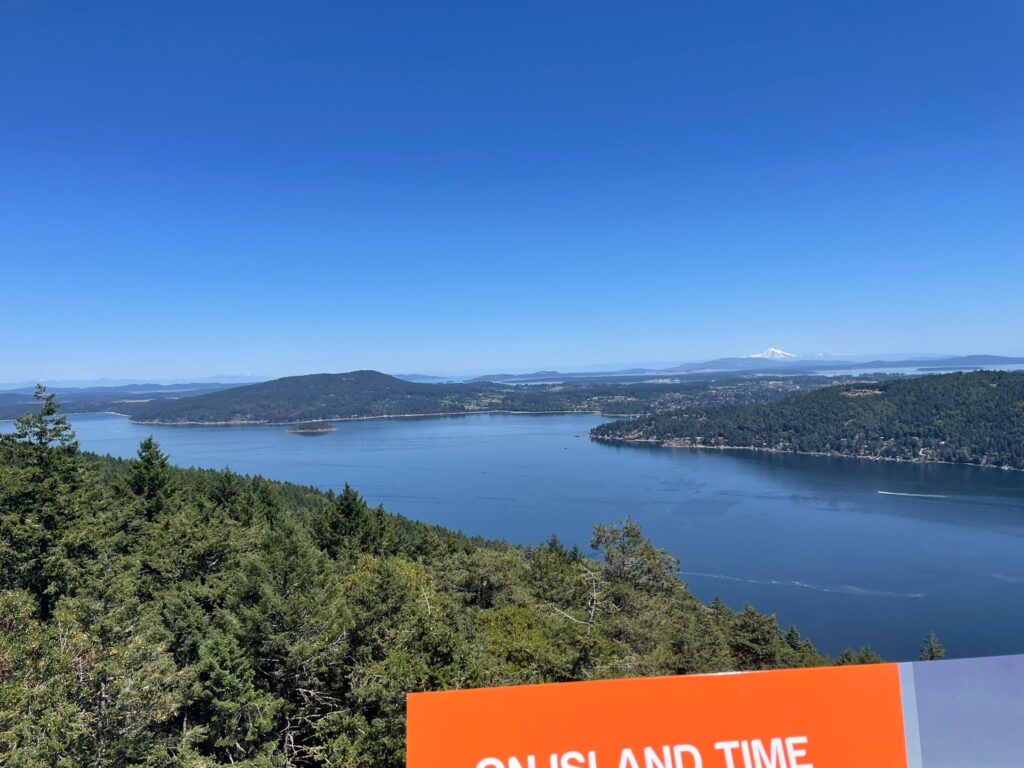Malahat Skywalk（マラハットスカイウォーク）に行ってきた！夏にぴったりの絶景アクティビティ【ビクトリア】