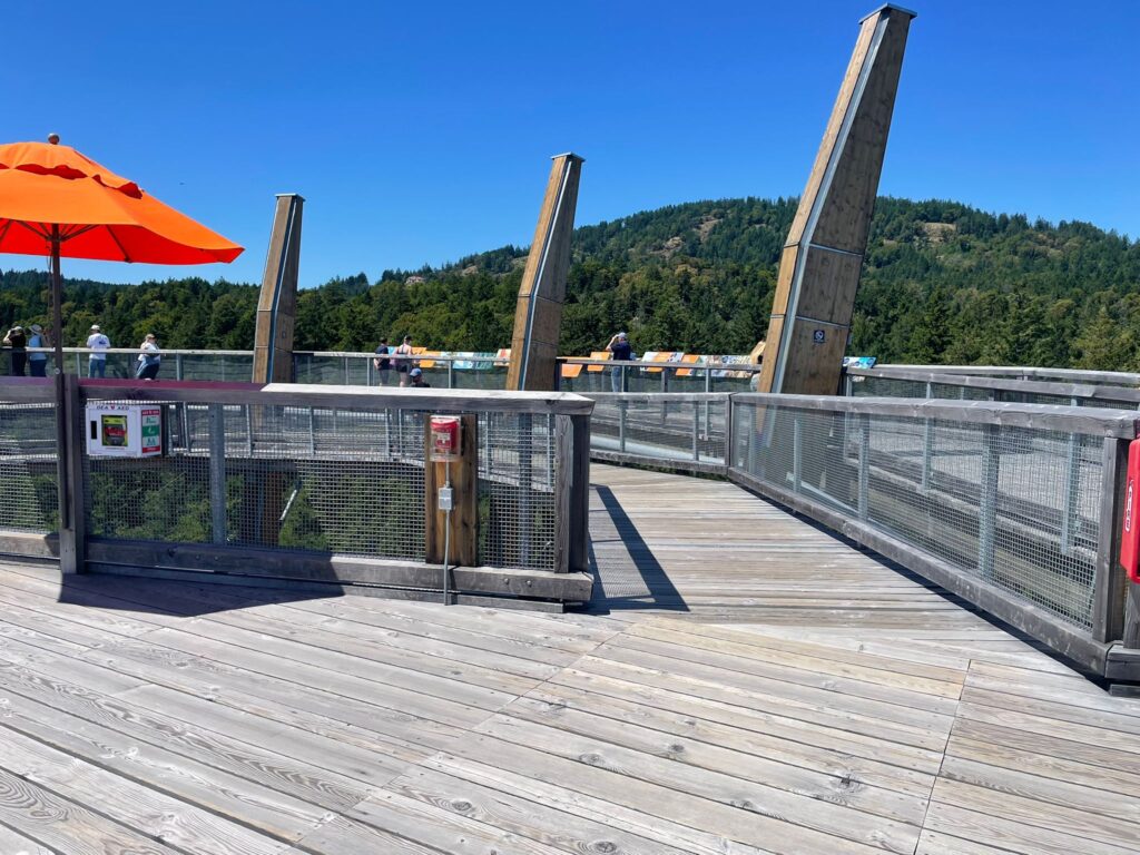 Malahat Skywalk（マラハットスカイウォーク）に行ってきた！夏にぴったりの絶景アクティビティ【ビクトリア】
