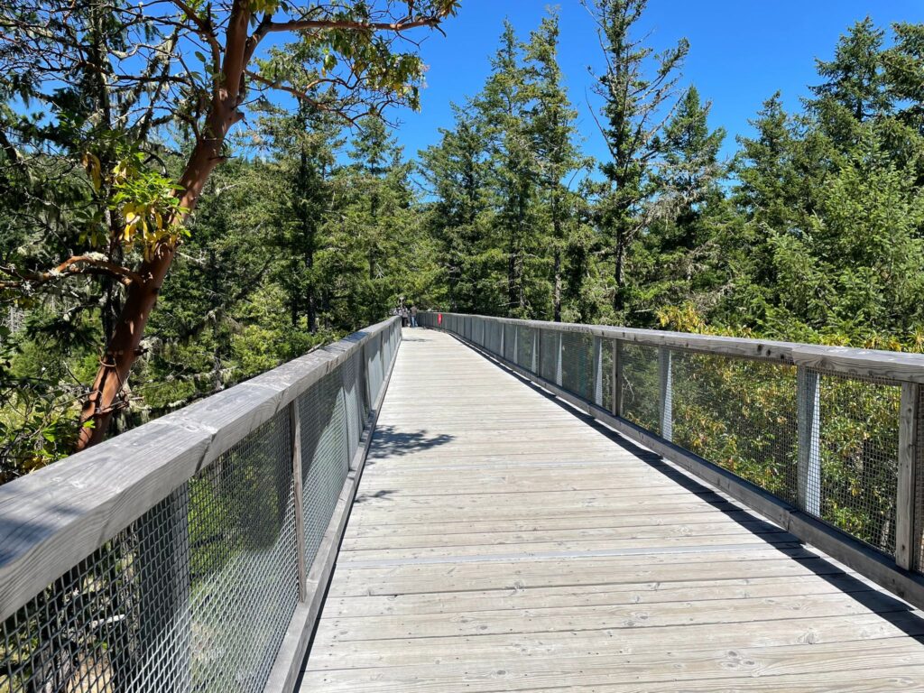 Malahat Skywalk（マラハットスカイウォーク）に行ってきた！夏にぴったりの絶景アクティビティ【ビクトリア】