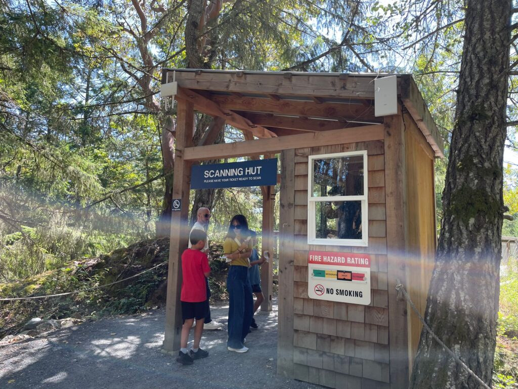 Malahat Skywalk（マラハットスカイウォーク）に行ってきた！夏にぴったりの絶景アクティビティ【ビクトリア】