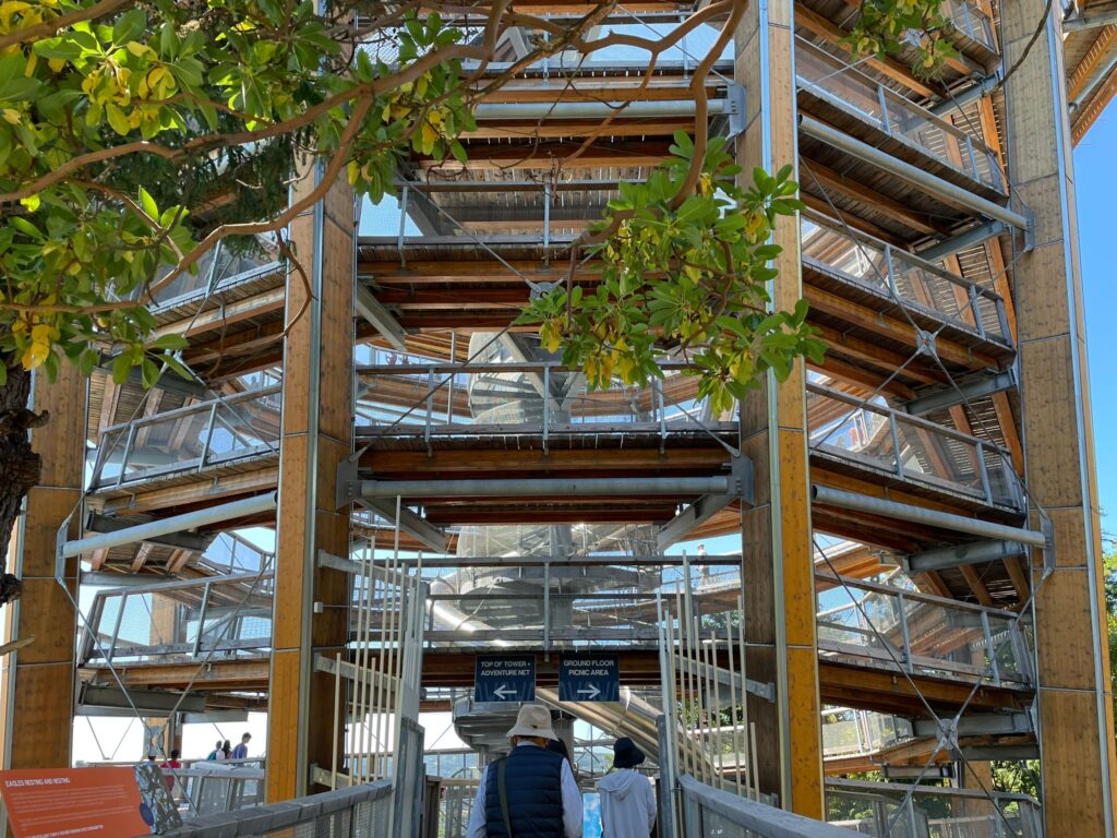 Malahat Skywalk（マラハットスカイウォーク）に行ってきた！夏にぴったりの絶景アクティビティ【ビクトリア】